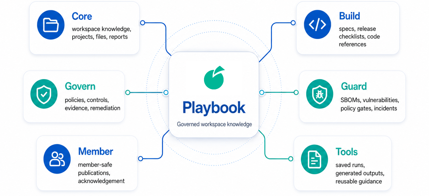 Figure 4: Playbook Across Batoi Workspace