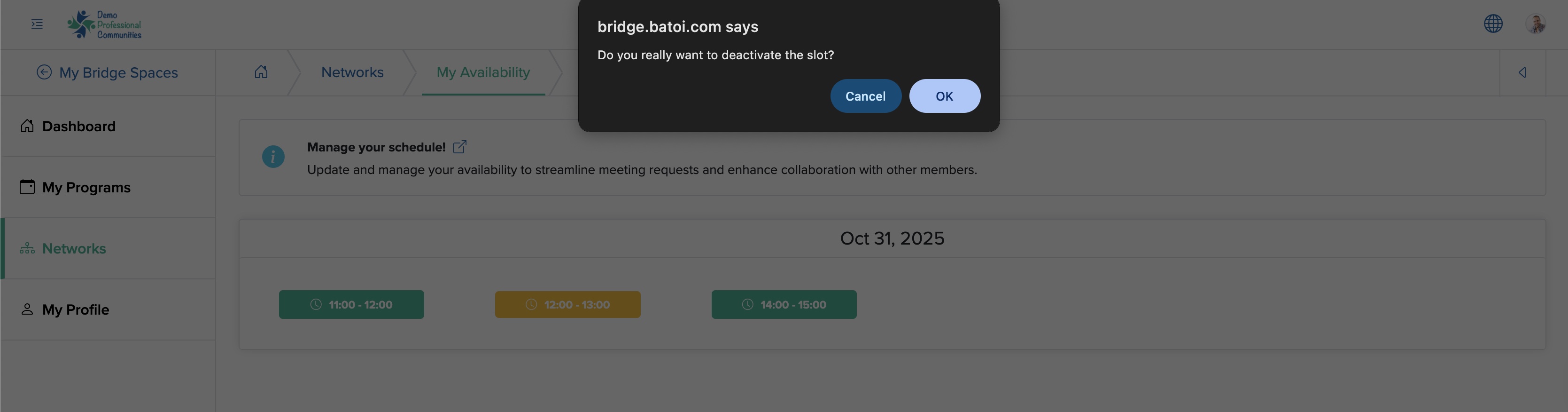 Figure 4: Individual Bridge Member Control Panel My Availability Screen