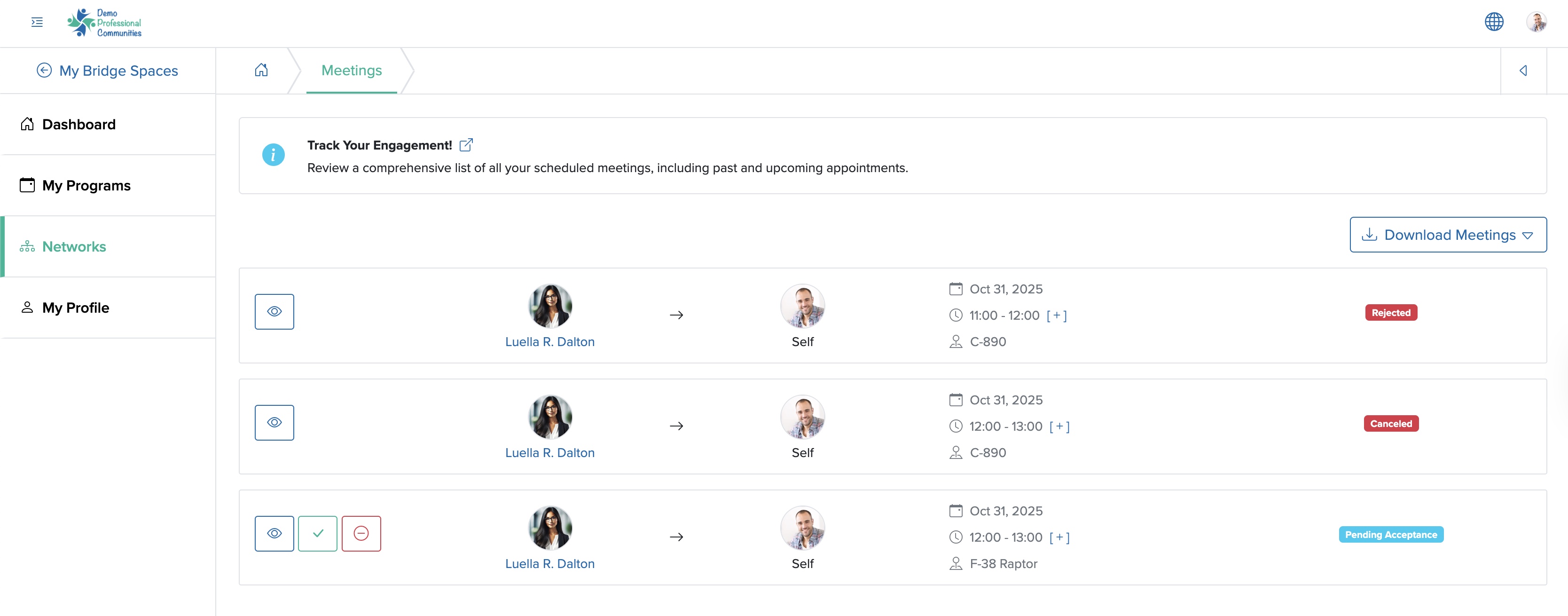 Figure 3: Individual Bridge Member Control Panel Meetings List Screen