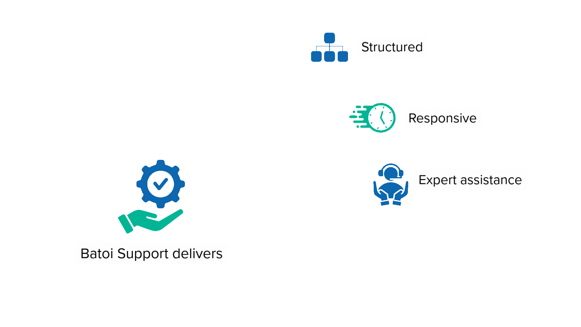 Batoi Support Banner