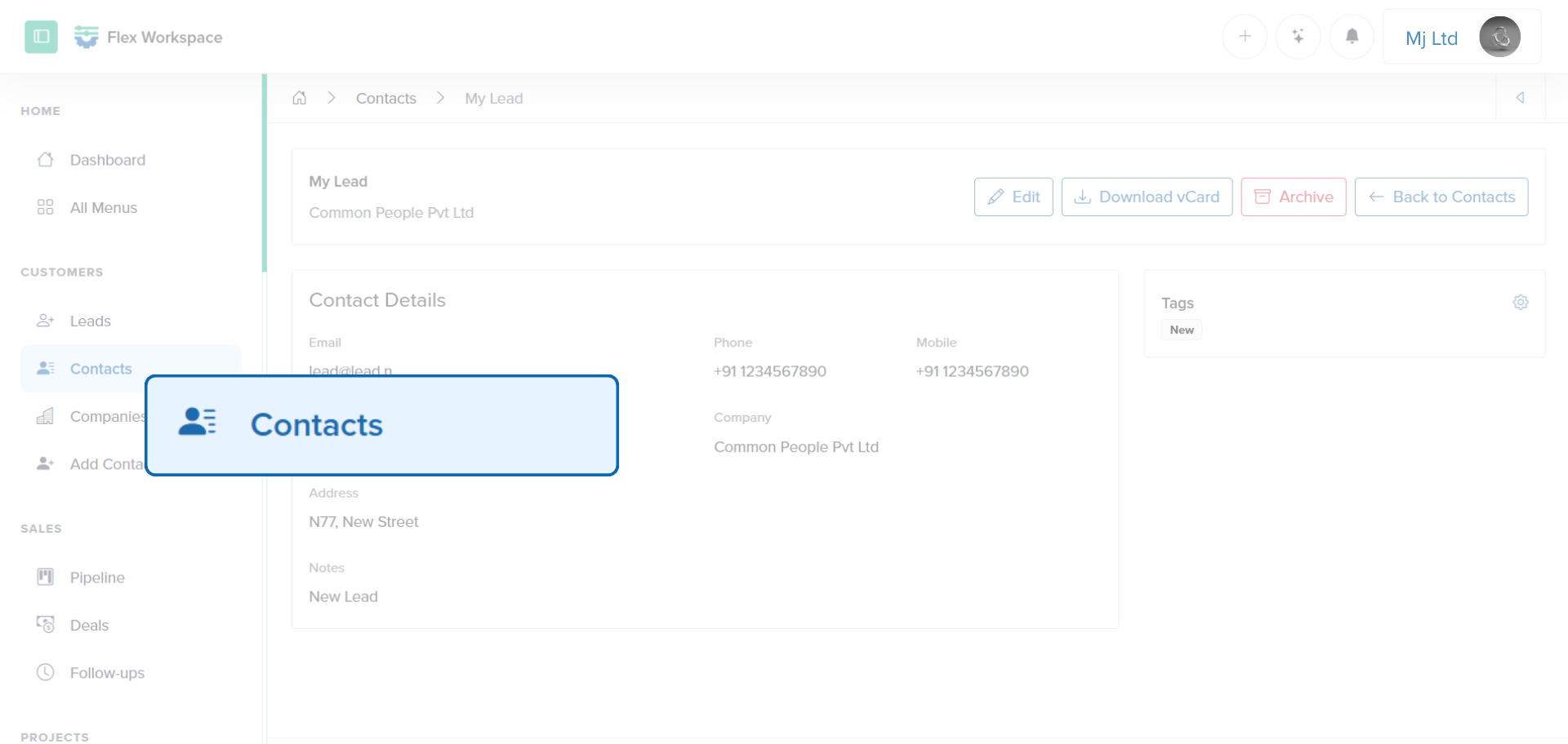 Figure 6: Batoi Flex - Contacts Record Created