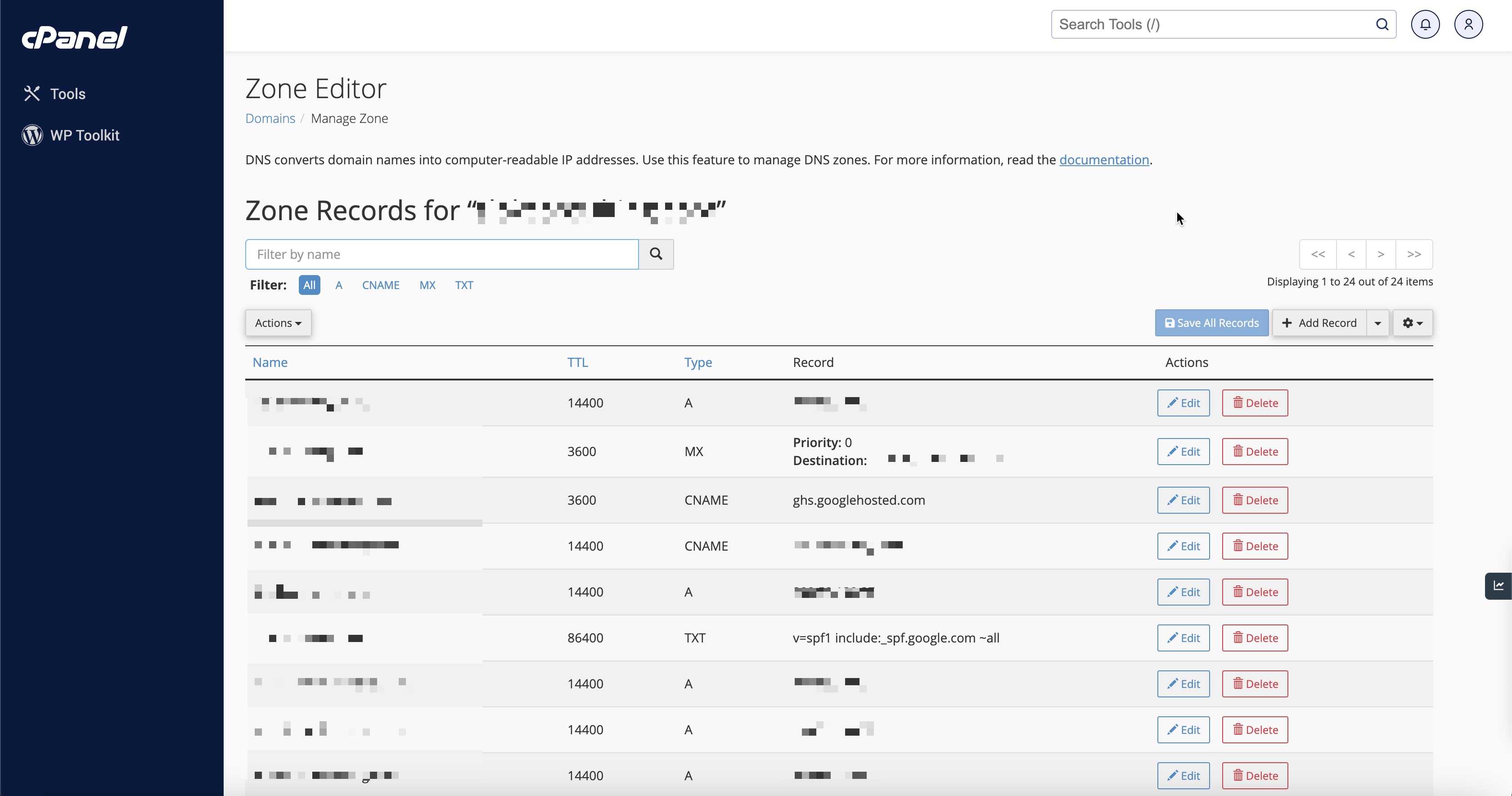 Figure 4: cPanel DNS Zone Editor List Screen