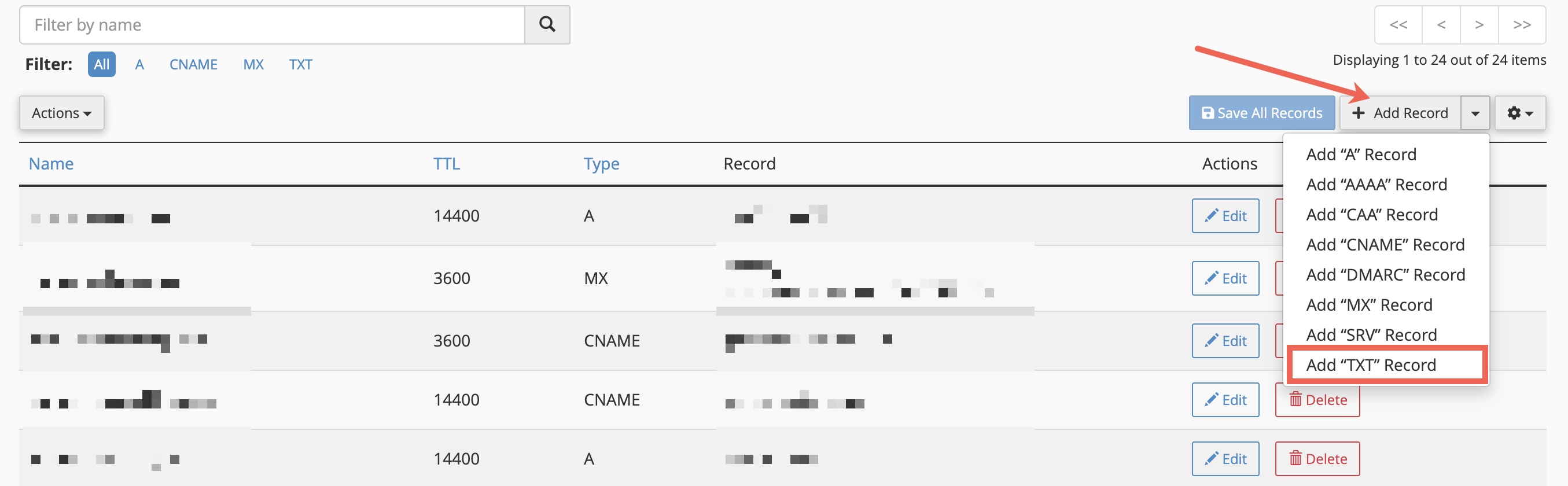 Figure 5: cPanel DNS Zone Editor List Screen