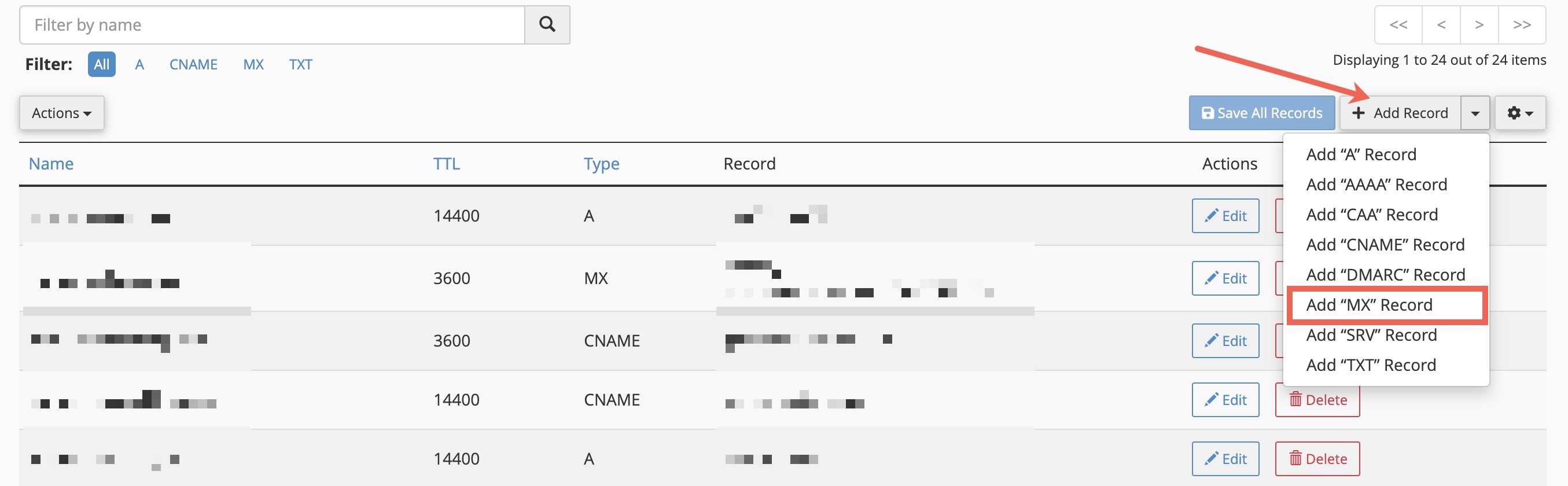 Figure 8: cPanel DNS Zone Editor List Screen