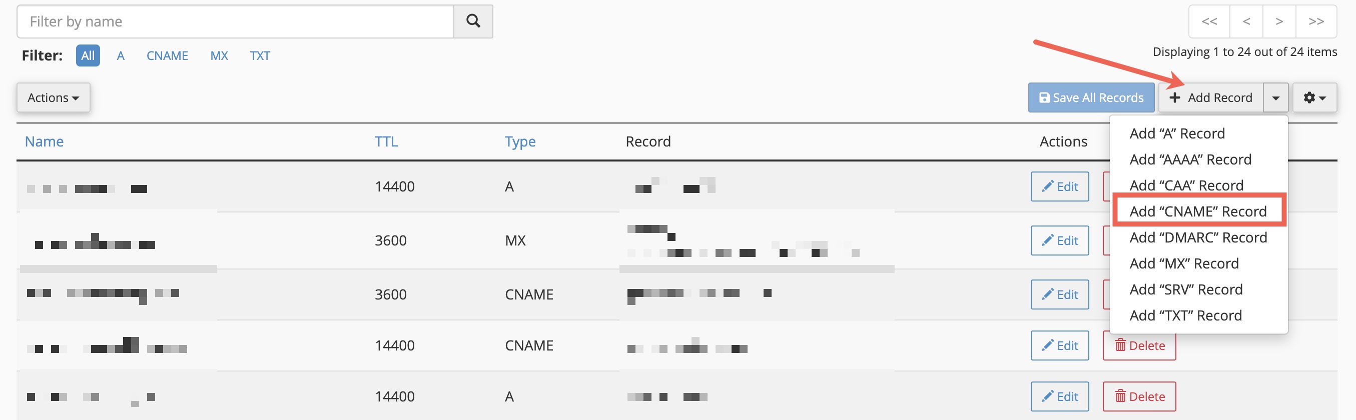 Figure 12: cPanel DNS Zone Editor List Screen