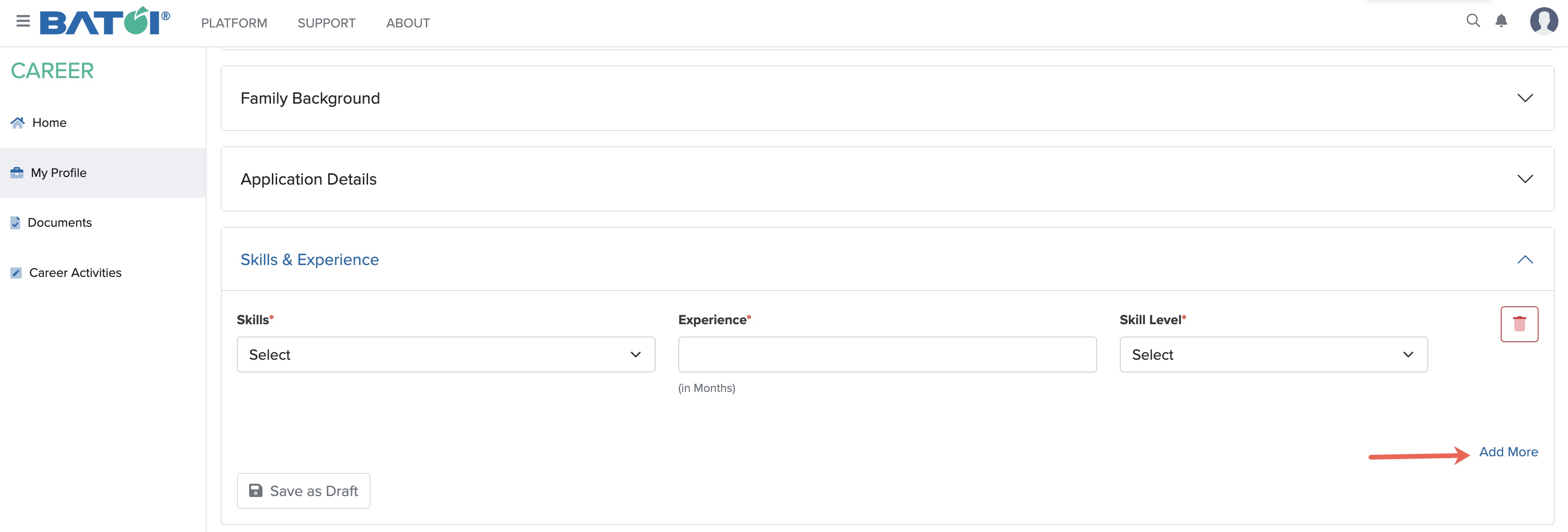 Figure 12: My Profile Skills & Experience Screen