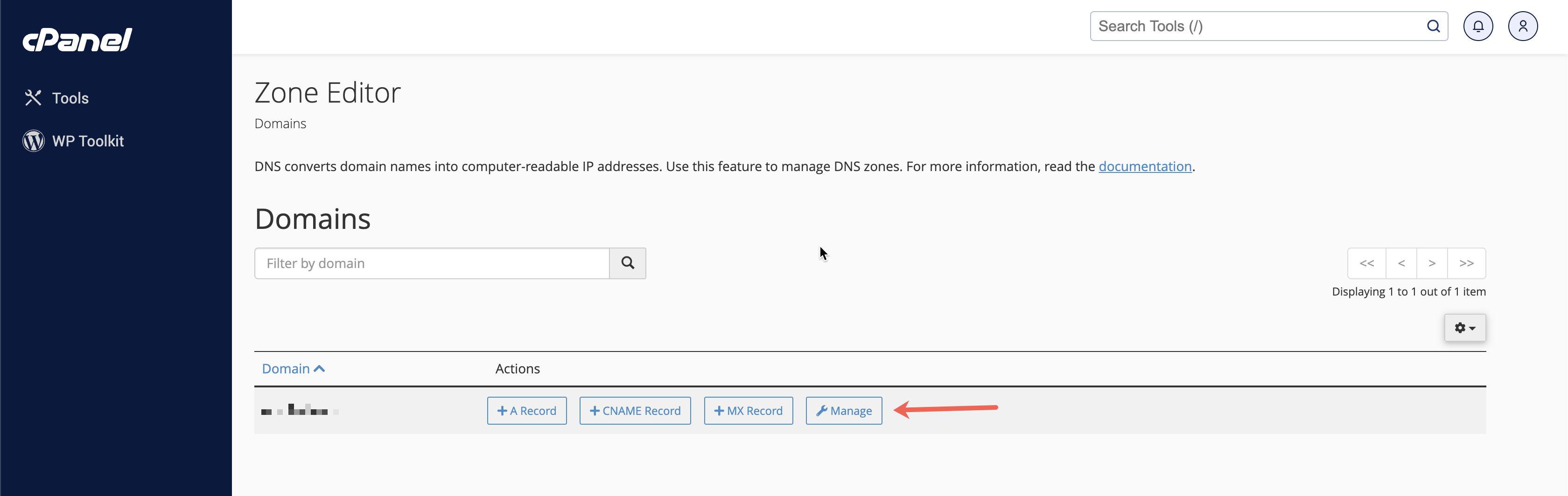 Figure 4: cPanel Zone Editor Screen