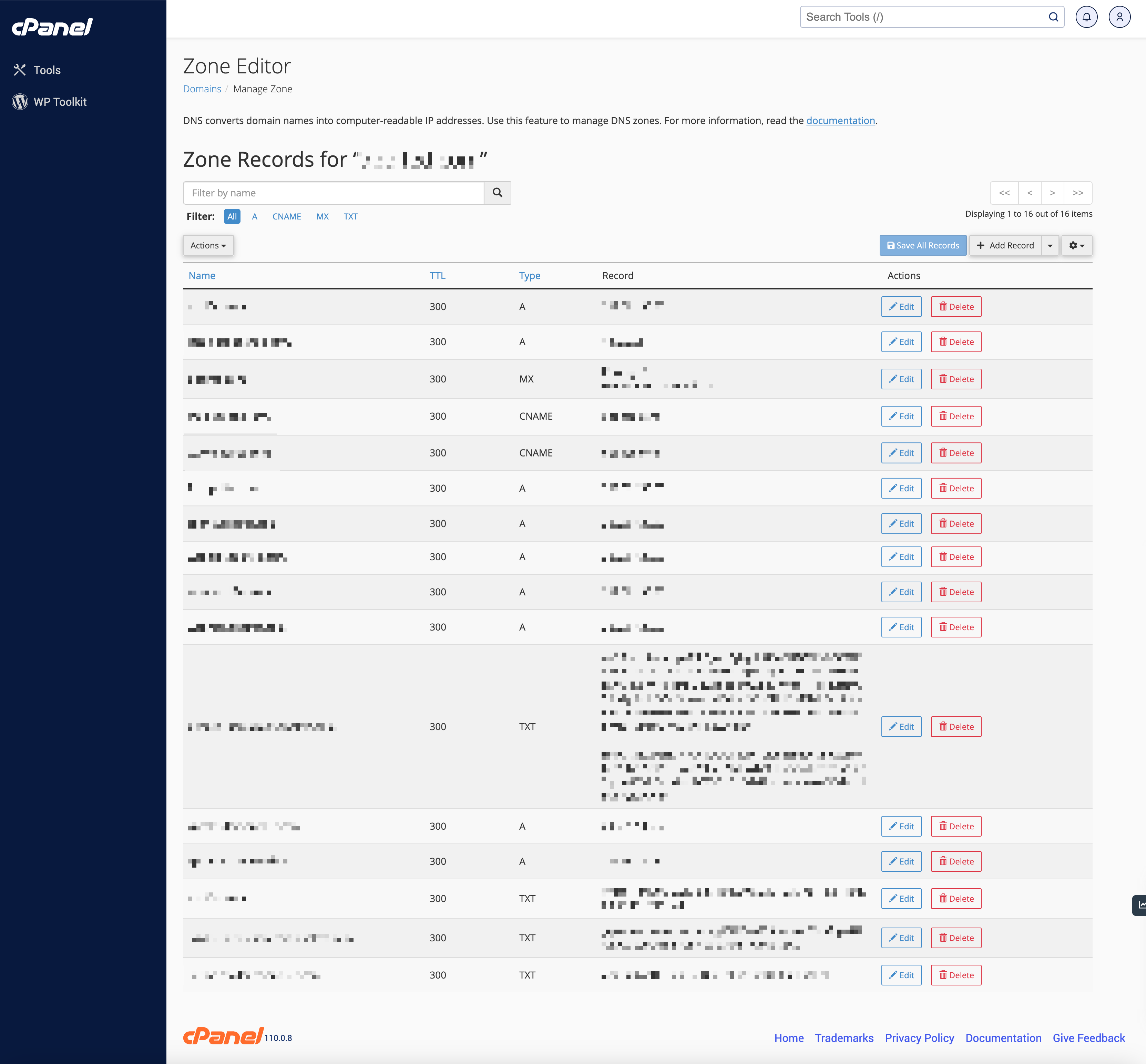 Figure 8: cPanel Manage Zone Editor Screen