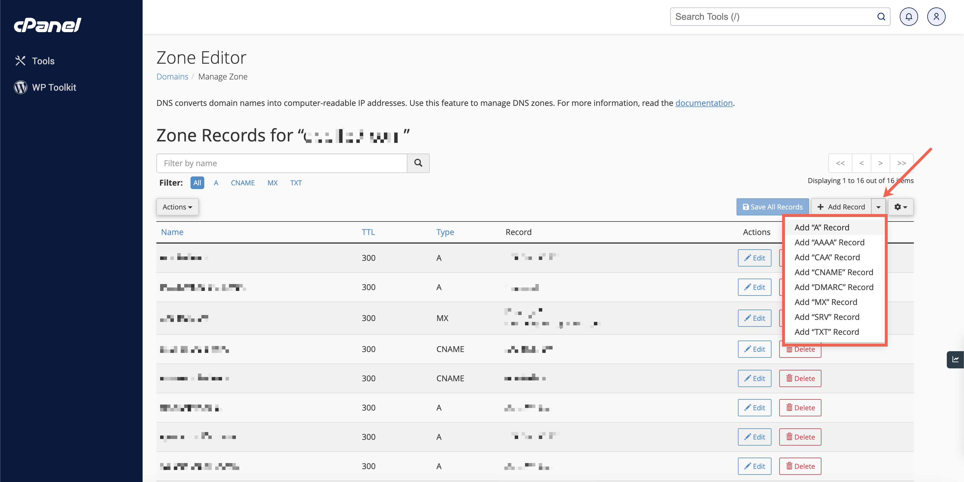 Figure 9: cPanel Manage Zone Editor Screen