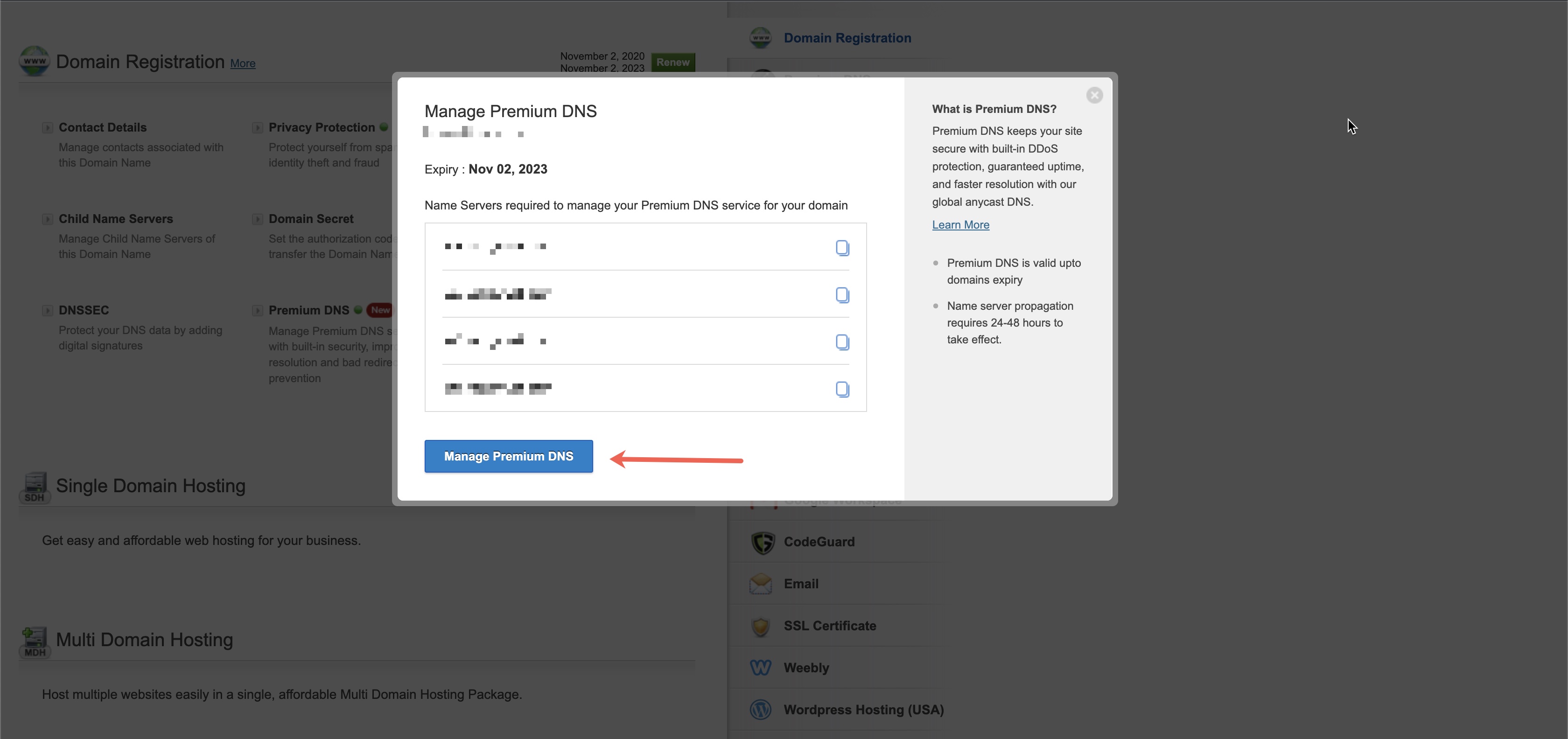 Figure 6: My HostMart Premium DNS Popup Screen