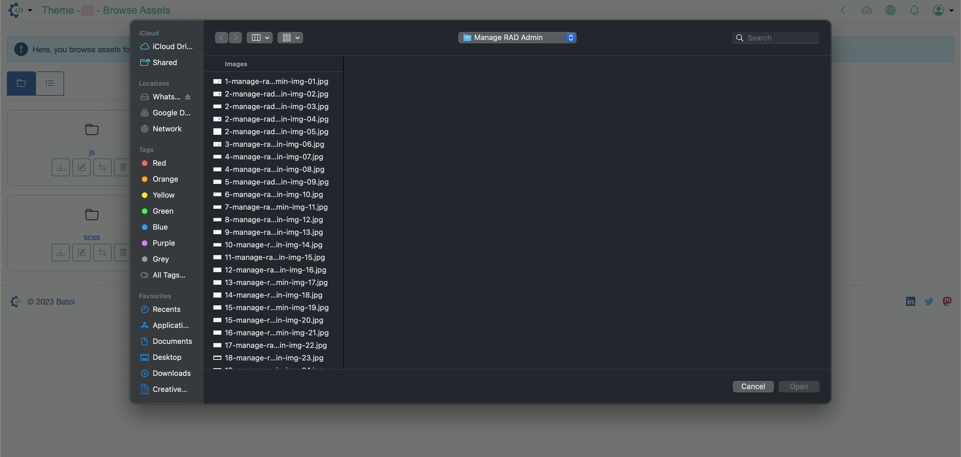 Figure 2: RAD Admin Portal Individual Theme Assets Upload Screen