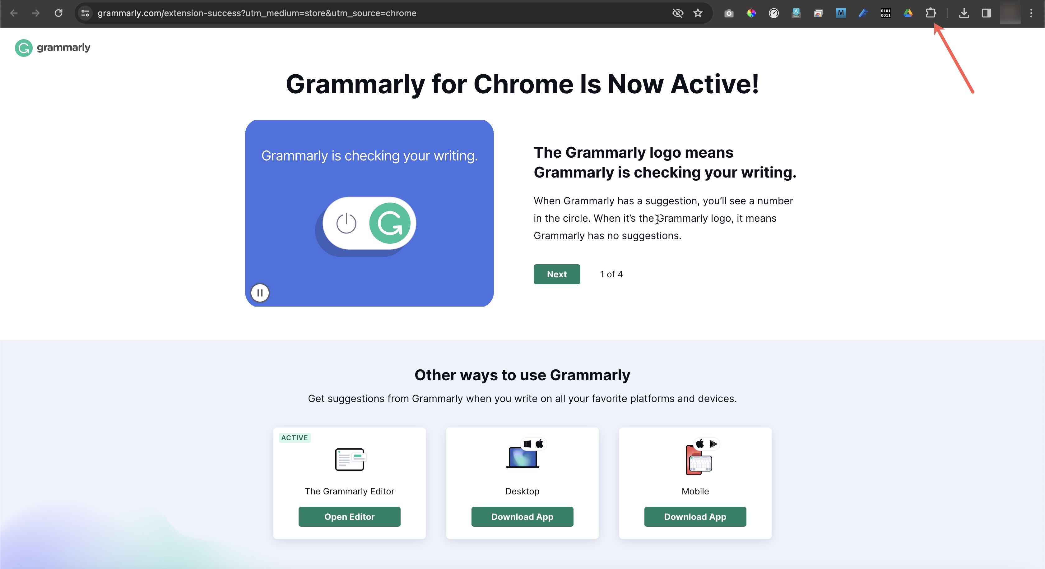 Figure 6: Chrome Grammarly Extension Activation Success Screen