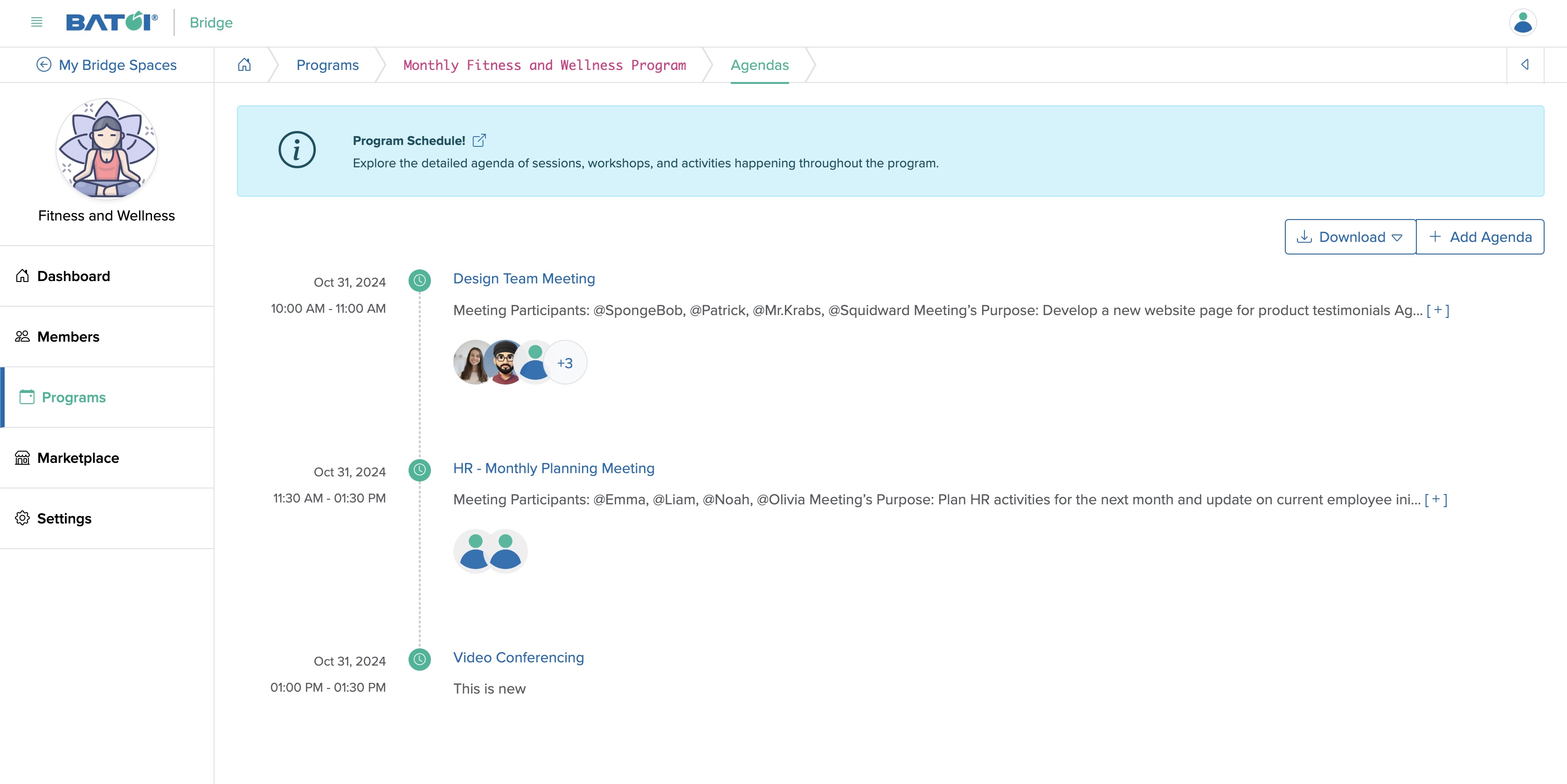 Figure 28: Individual Bridge Manager Control Panel Program Agenda Screen